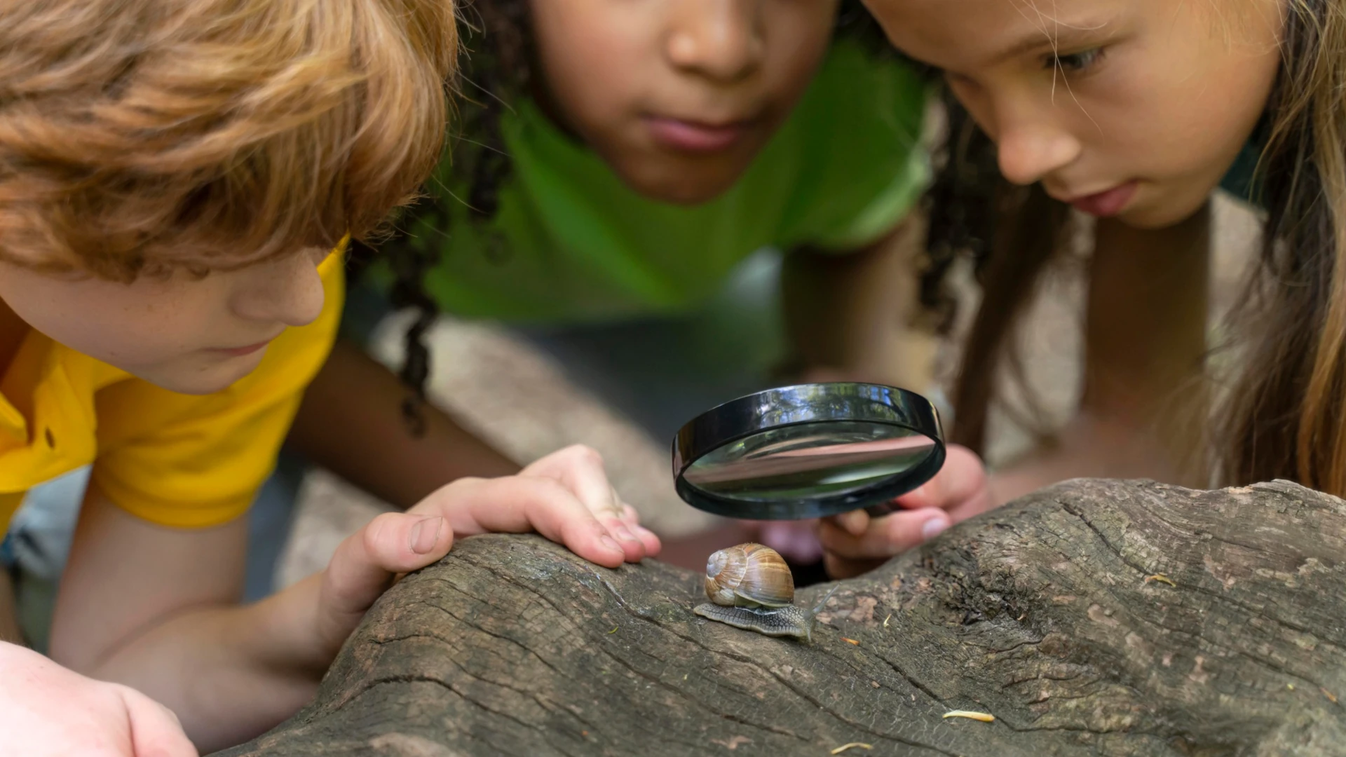 Blog - Freilernen oder doch lieber Schule? - Renate Pfeifer